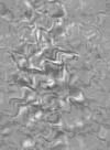 TXTR3742.GIF