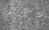 TXTR3741.GIF