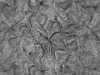TXTR3734.GIF