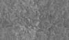 TXTR3733.GIF