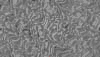 TXTR3732.GIF