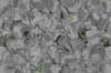 TXTR3722.GIF