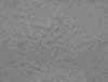 TXTR3716.GIF
