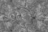 TXTR3714.GIF