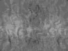 TXTR3711.GIF