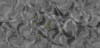 TXTR3708.GIF