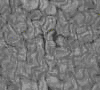TXTR3707.GIF