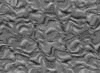 TXTR3693.GIF