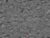 TXTR3684.GIF