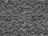 TXTR3679.GIF