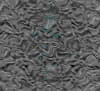TXTR3672.GIF