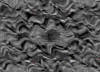 TXTR3662.GIF