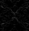 TXTR3661.GIF