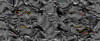TXTR3655.GIF