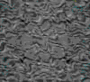TXTR3639.GIF