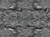 TXTR3617.GIF