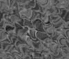 TXTR3599.GIF