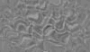 TXTR3589.GIF