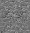 TXTR3581.GIF