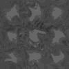 TXTR3573.GIF