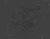 TXTR3571.GIF