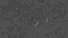 TXTR3570.GIF