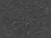 TXTR3565.GIF