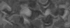 TXTR3556.GIF