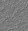 TXTR3549.GIF