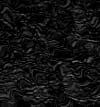 TXTR3542.GIF