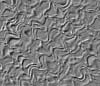 TXTR3540.GIF