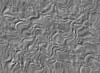 TXTR3528.GIF