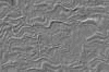 TXTR3527.GIF