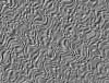 TXTR3524.GIF