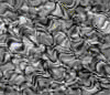 TXTR3513.GIF