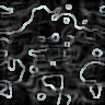 TXTR3489.GIF