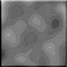 TXTR3365.GIF