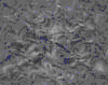 TXTR3320.GIF
