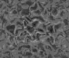 TXTR3298.GIF
