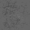 TXTR3297.GIF