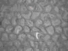 TXTR3178.GIF