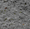 TXTR3113.GIF