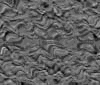 TXTR3067.GIF