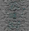 TXTR3031.GIF