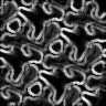 TXTR2981.GIF