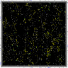TXTR2894.GIF