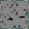 TXTR2877.GIF