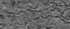 TXTR2768.GIF