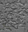 TXTR2700.GIF