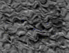 TXTR2605.GIF